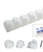 Immagine di Tratto a rotelle per settore alimentare P=33 mm
